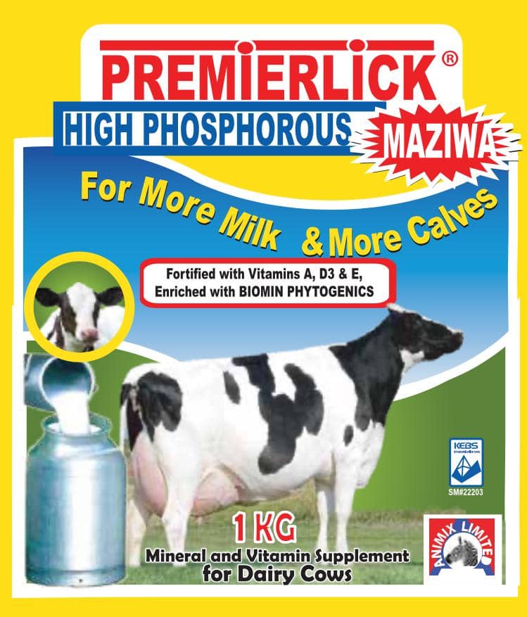 159099563 709011673127418 8655237416389340980 n