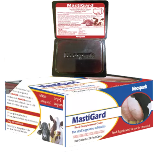 1667643869888 ezgif.com gif maker 5