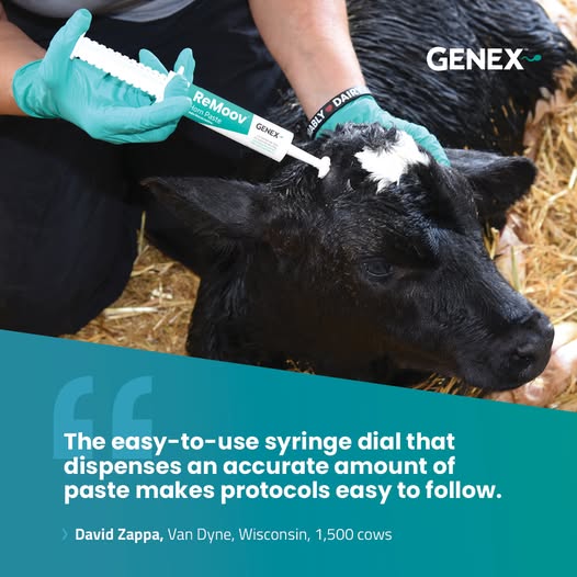 505228298 10161024370505877 4105231533485541764 n