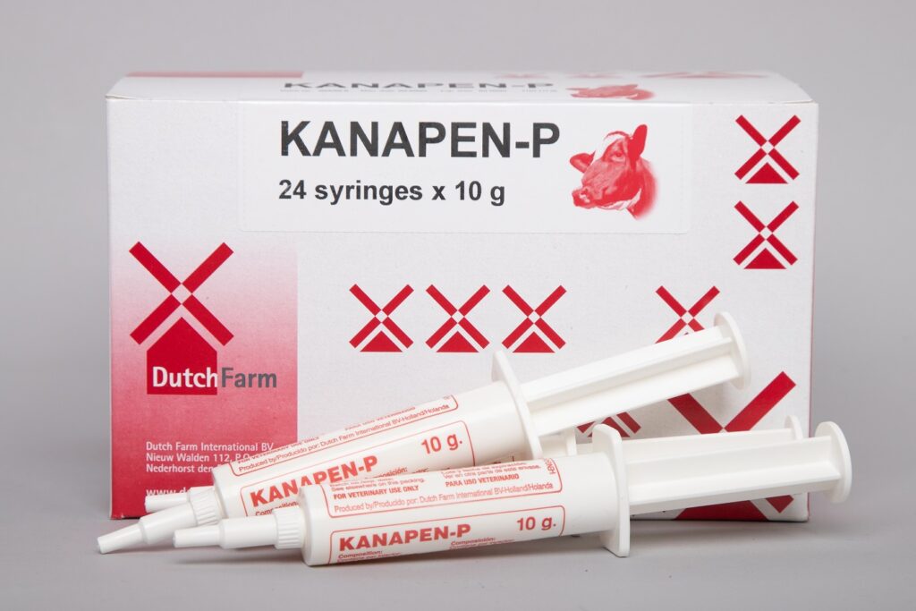 kanapen p 0664b