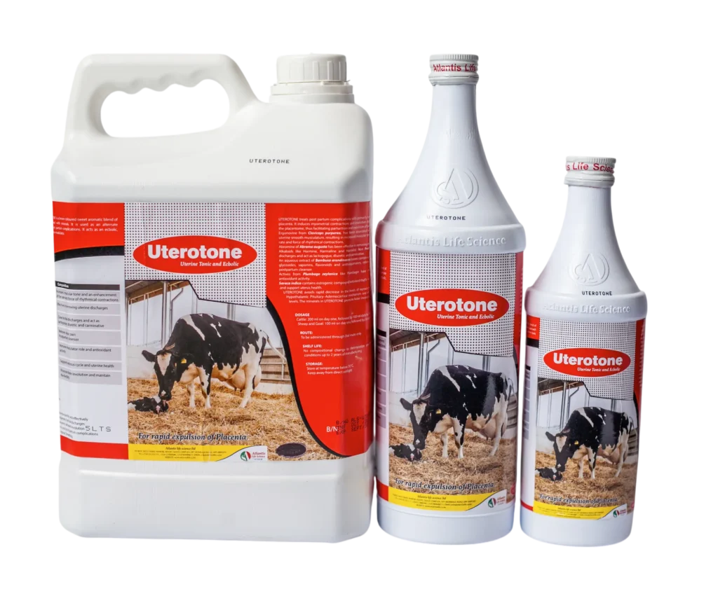 photoroom 20260106 105229