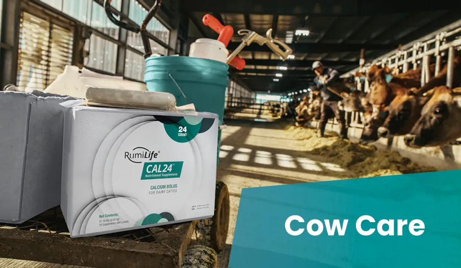 w 5938635621 e catalog (1)