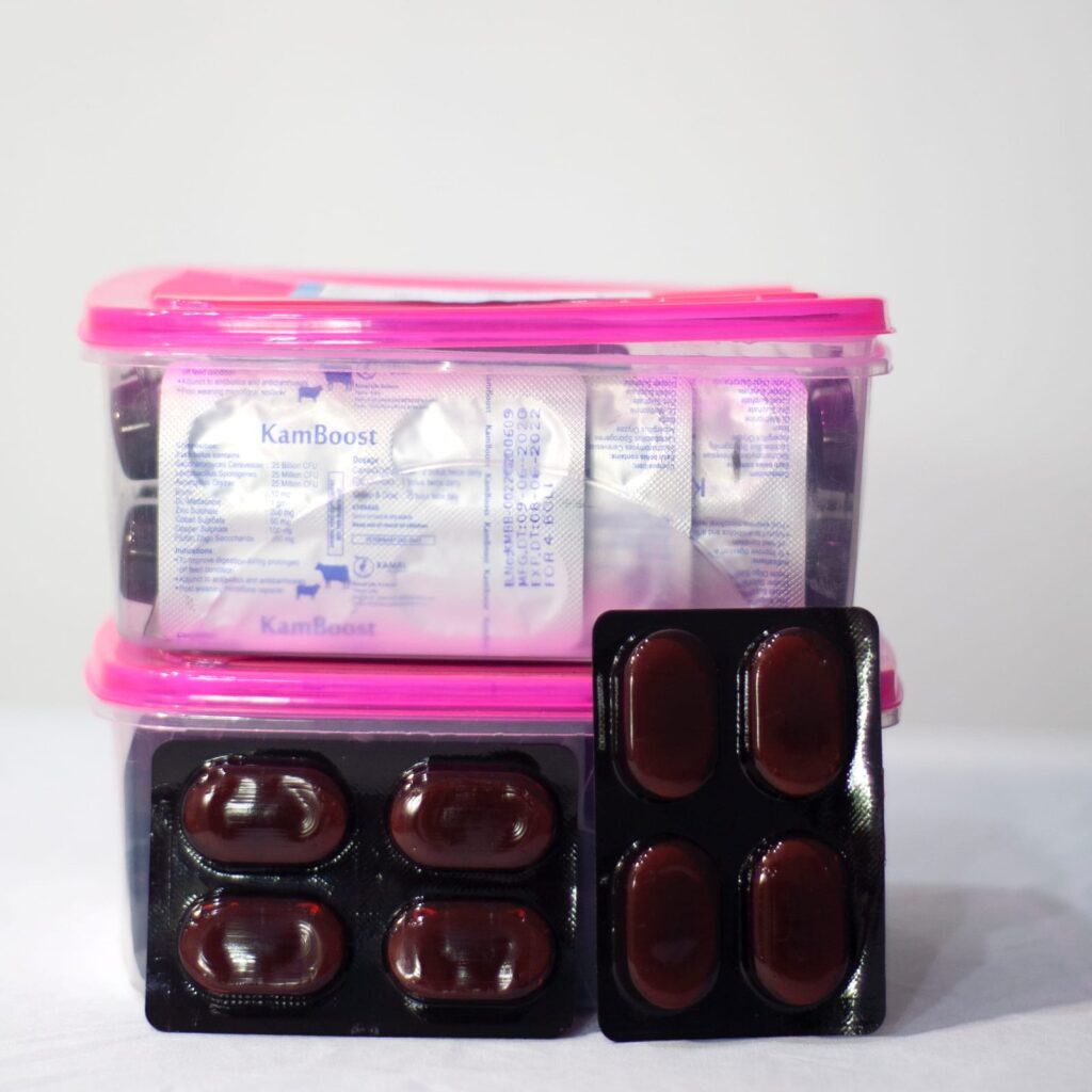 whatsapp image 2021 12 03 at 2.00.45 pm2