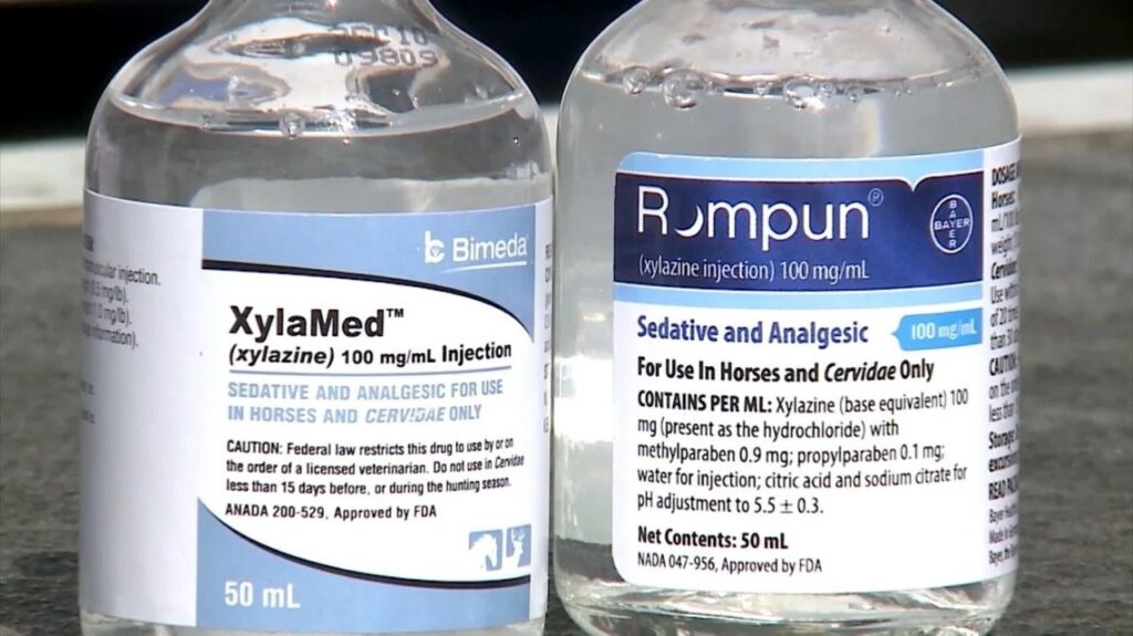 cq5dam.web.1280.1280